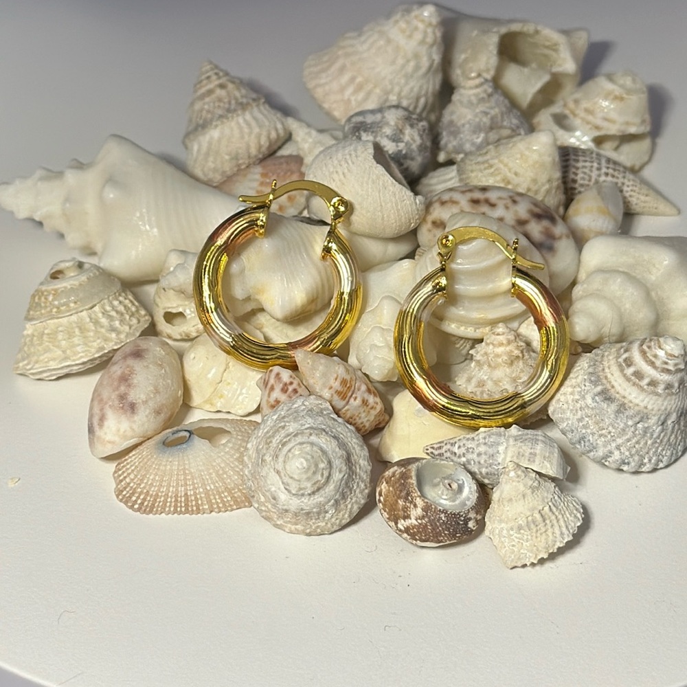 14K Gold Plated Tri-Colored Chunky Earrings